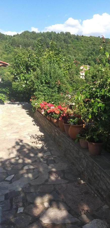 Το Σπίτι Της Ευτυχίας Στούντιο Apartment Karpenísion Екстериор снимка